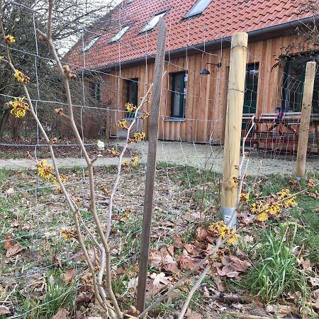 Broockhof Ferienwohnung Unterm Sternenhimmel In Mecklenburg Reimershagen Exterior photo